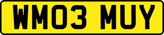 WM03MUY