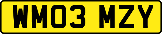 WM03MZY
