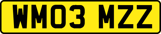 WM03MZZ