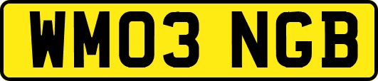 WM03NGB