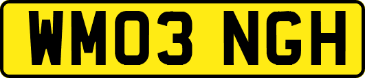WM03NGH
