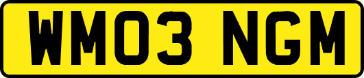 WM03NGM