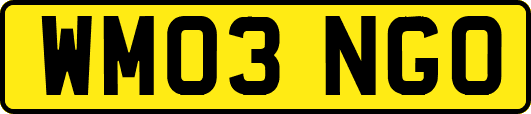 WM03NGO