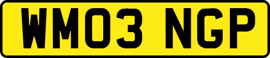 WM03NGP