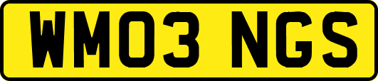 WM03NGS