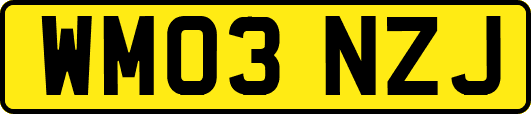 WM03NZJ