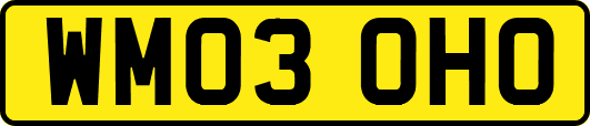 WM03OHO