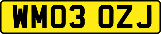 WM03OZJ