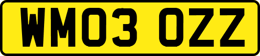 WM03OZZ