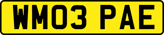 WM03PAE