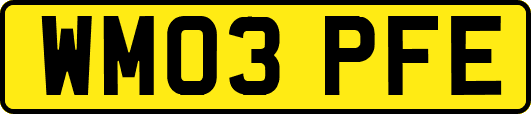 WM03PFE