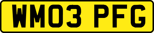 WM03PFG