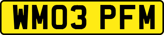 WM03PFM