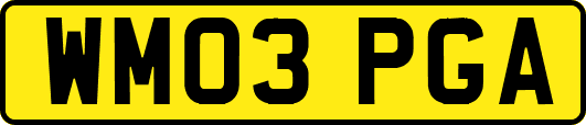 WM03PGA