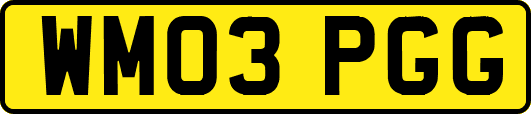 WM03PGG