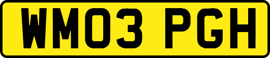 WM03PGH