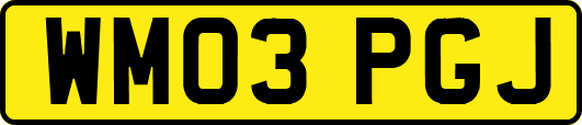 WM03PGJ