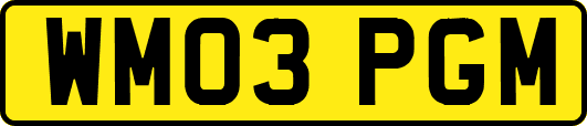WM03PGM