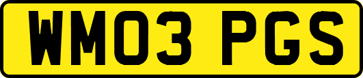 WM03PGS