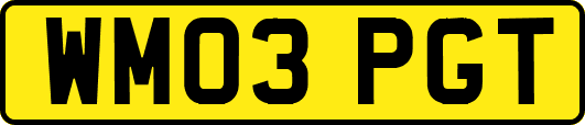 WM03PGT