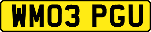 WM03PGU