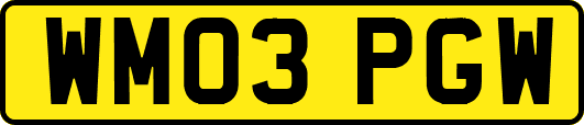 WM03PGW