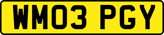 WM03PGY