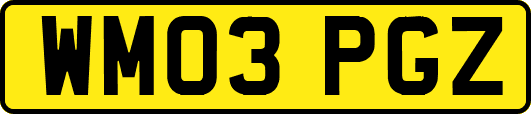 WM03PGZ