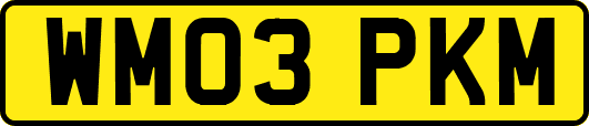 WM03PKM