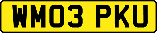 WM03PKU