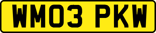 WM03PKW