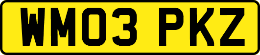WM03PKZ
