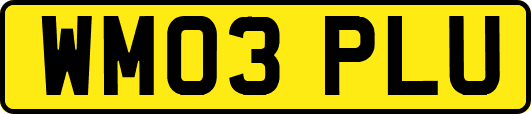 WM03PLU