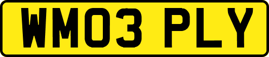 WM03PLY