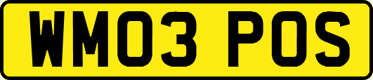 WM03POS