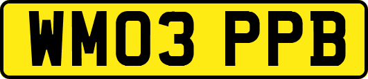 WM03PPB