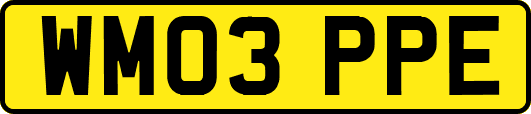 WM03PPE