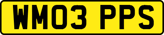 WM03PPS