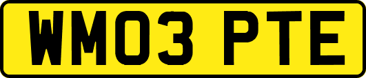 WM03PTE