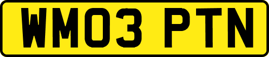 WM03PTN