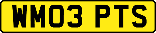 WM03PTS