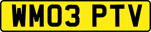 WM03PTV