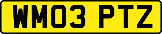 WM03PTZ