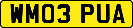 WM03PUA