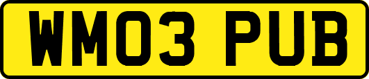 WM03PUB
