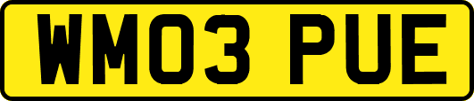 WM03PUE