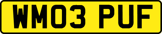 WM03PUF