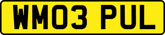 WM03PUL