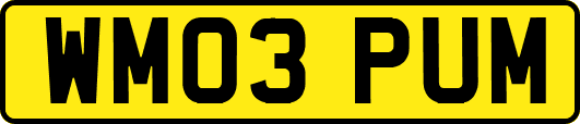 WM03PUM