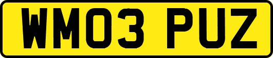 WM03PUZ